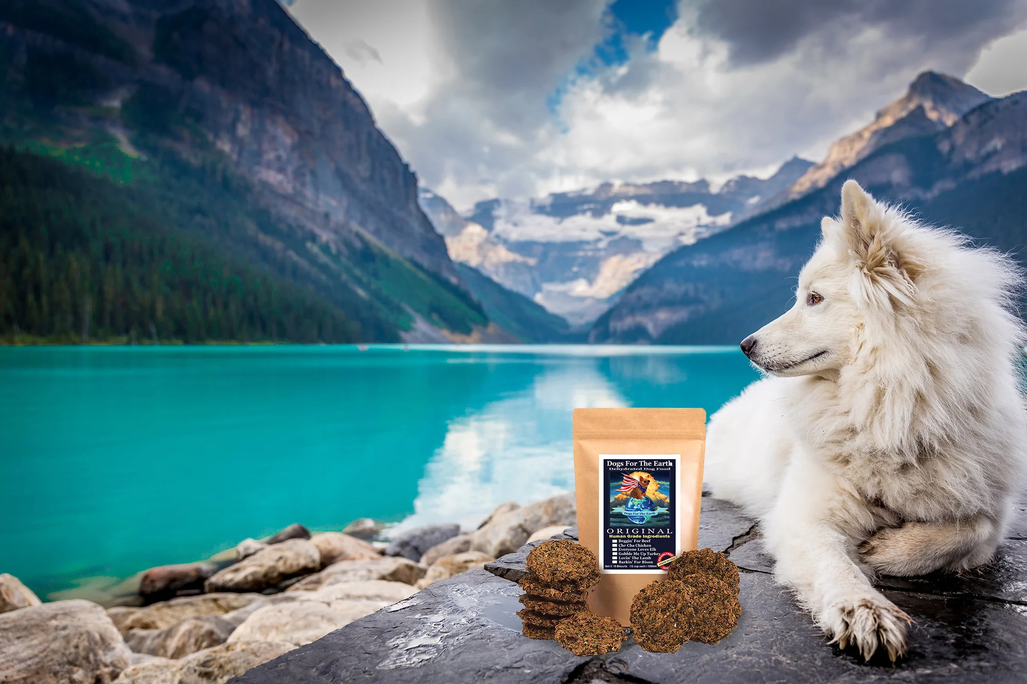Pure Nutrition for Happy Tails
